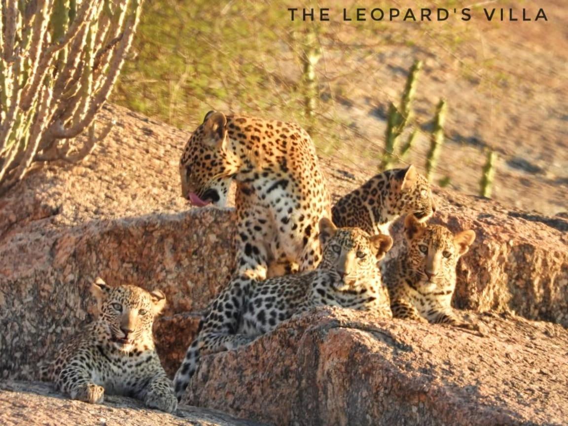 Jawai Leopard Villa 비자푸르 외부 사진